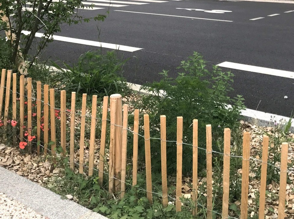 Requalification de l’avenue Decorps