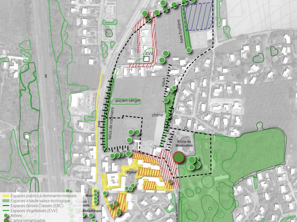 Etude de cadrage urbain sur le site Montluzin/Favière